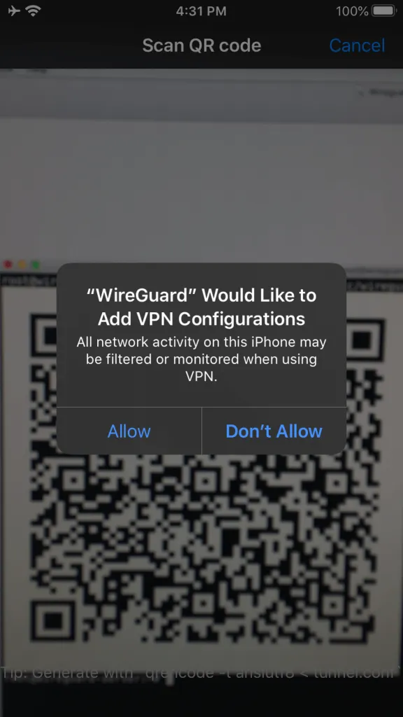 WireGuard iOS Allow VPN